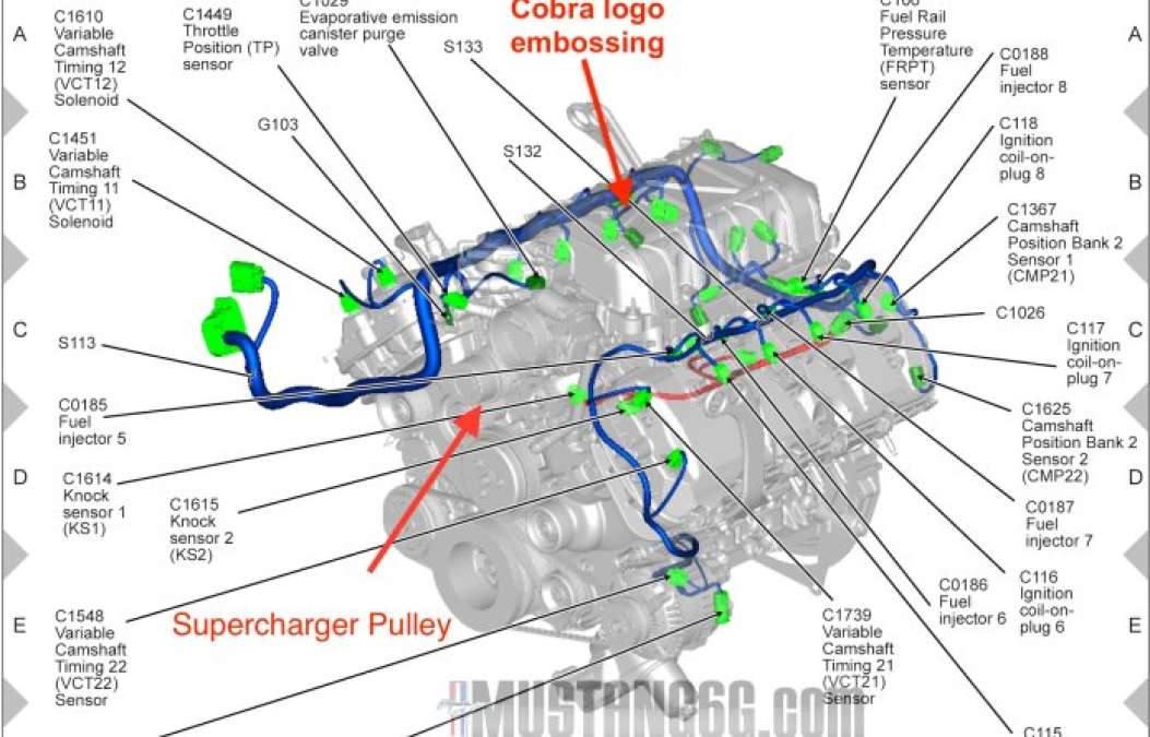 2019 Ford Mustang Shelby GT500 Wiring Diagram