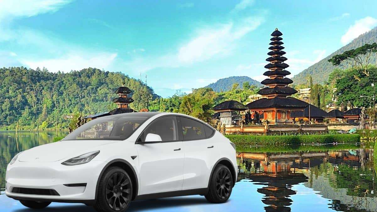 Indonesia and Tesla