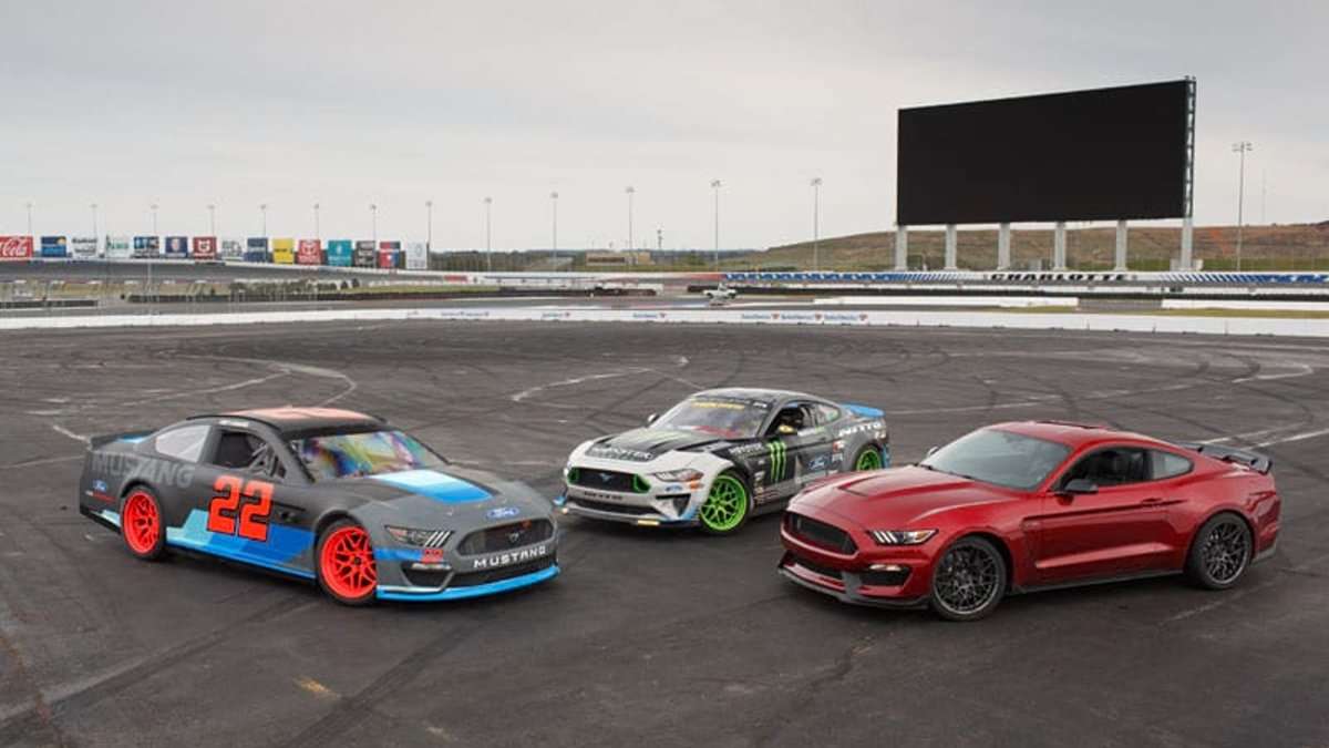 Ford Mustang Race Car Group