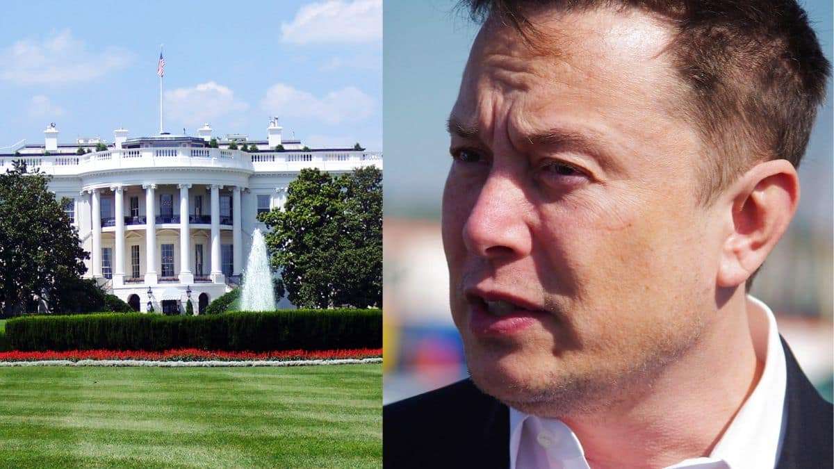 Tesla CEO Elon Musk Meets with White House Advisors to Discuss EV Future Progress
