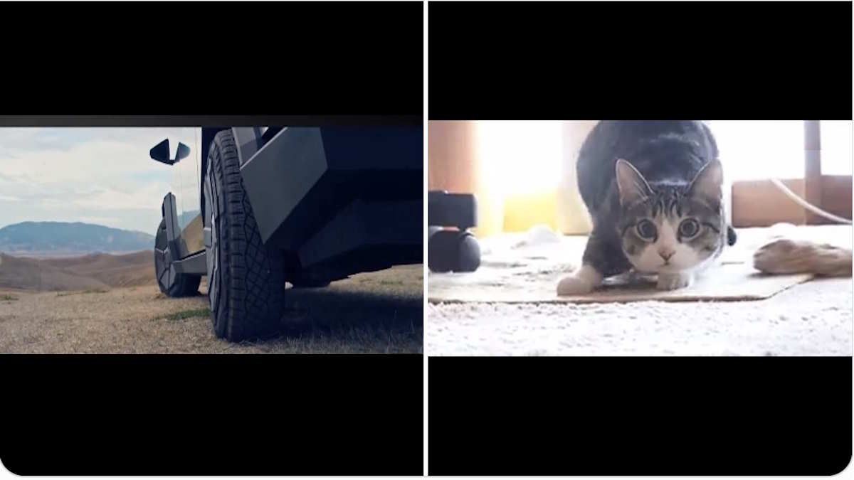 Tesla Cybertruck 4-Wheel Steering-By-Wire Compared To Wiggling Cat In Purrfect Comparison