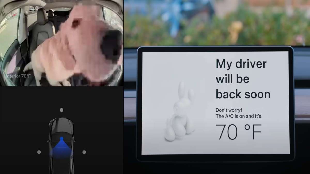 Your Dog is Safe in a Tesla Vehicle With Dog Mode