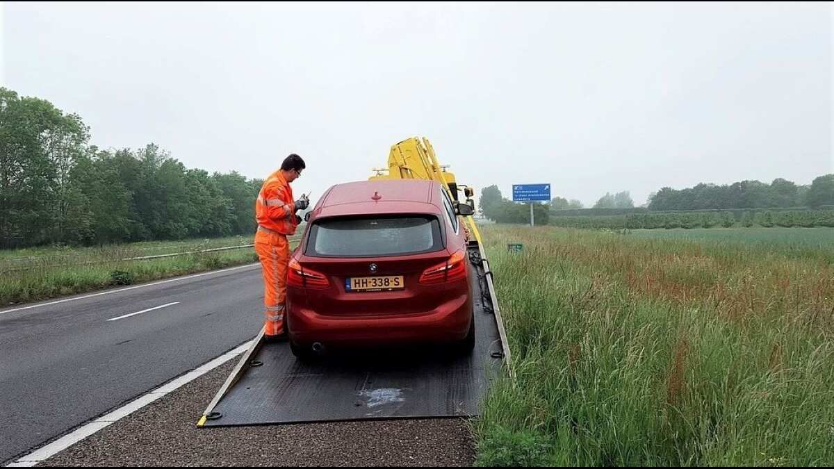 Total 92+ imagen cars to avoid Viaterra.mx