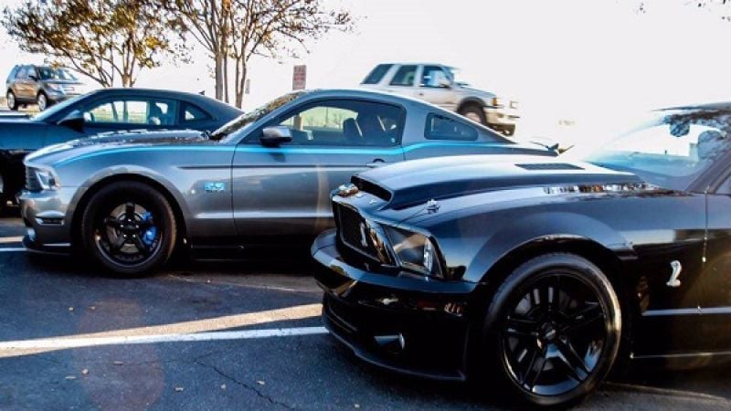 Ford Mustangs