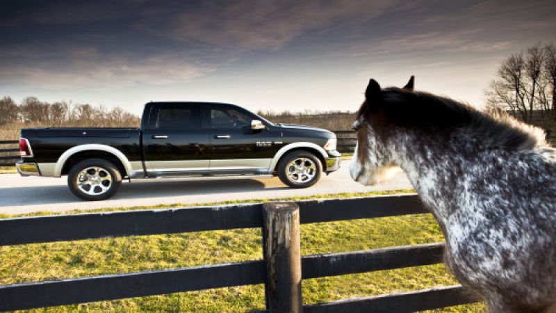The 2013 Ram 1500 with a horse