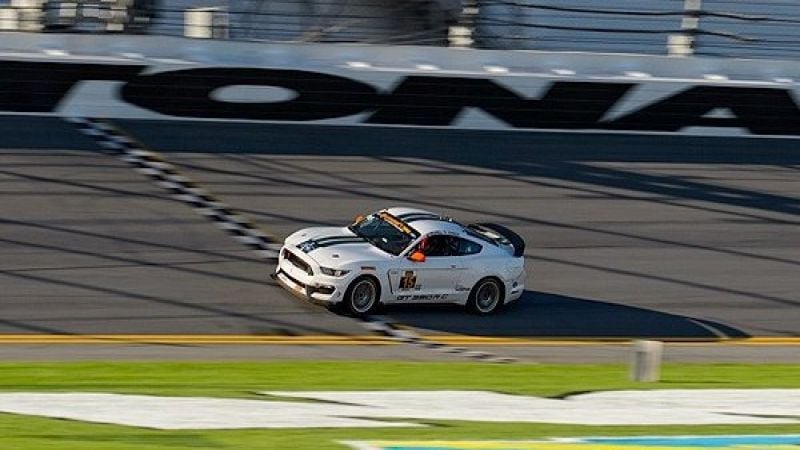 #15 Multimatic mustang