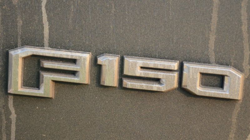 2015 F150 badge
