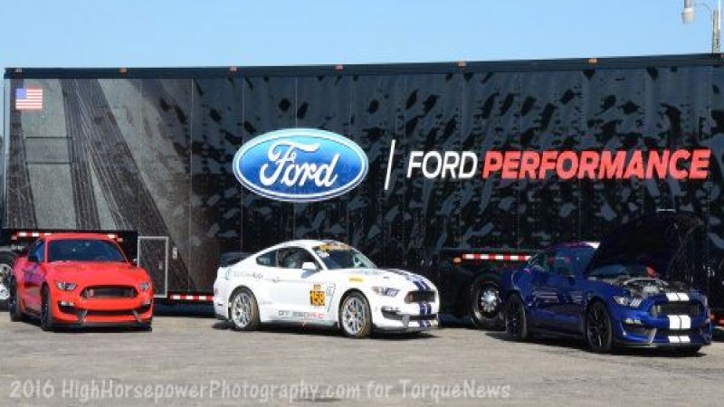 Shelby Mustang lineup