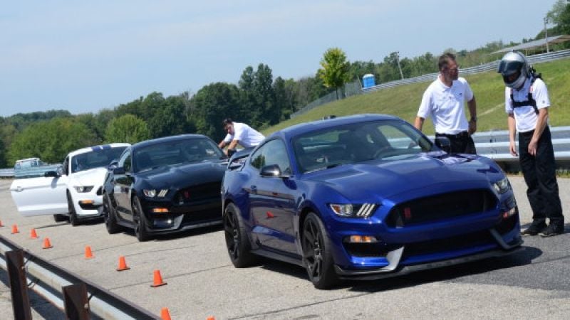 GT350R mustangs lined up