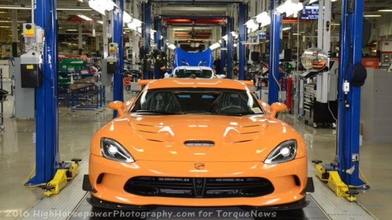 Yorange Viper at Connor Ave