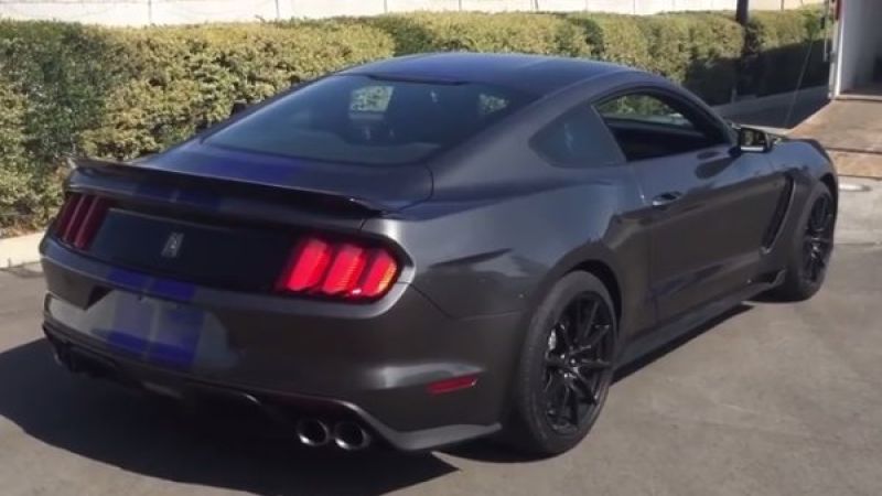 gt350 in magnetic
