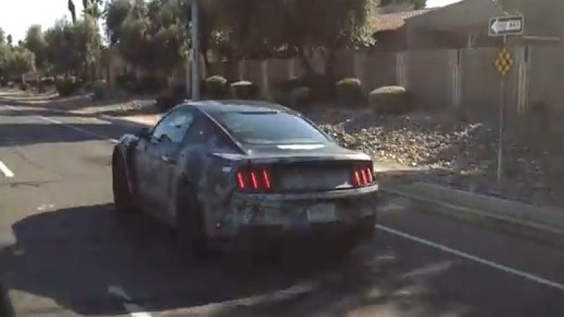 shelby spy video still