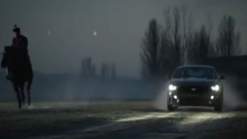 year of the horse mustang video still