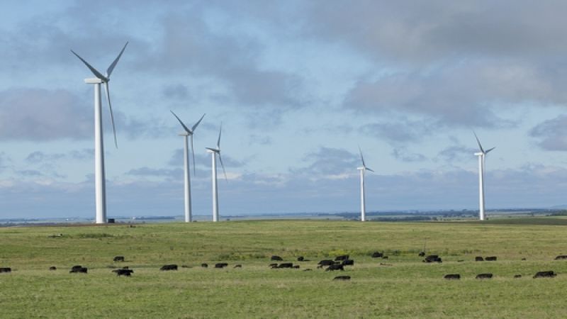 Chevy invest in Crow Lake Wind Farm