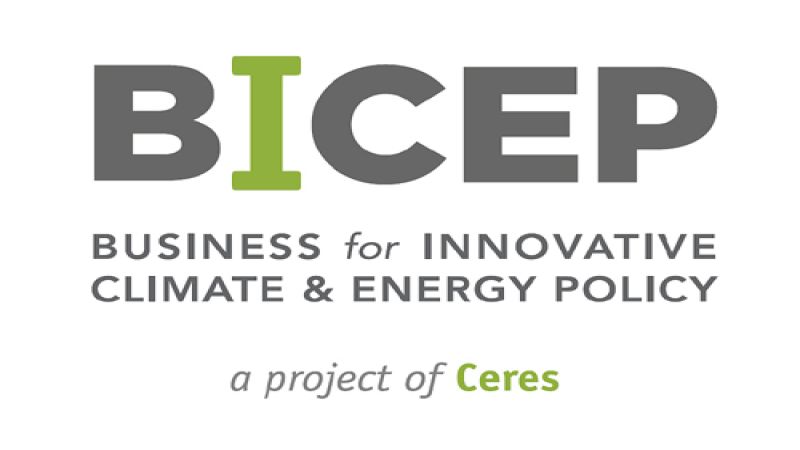 Business for Innovative Climate & Energy Policy