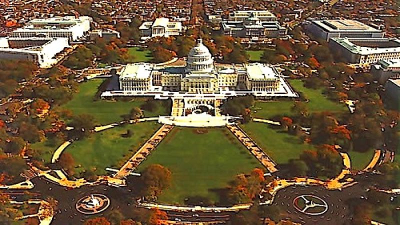 Who drives electric and plug-in hybrids in Washington DC?