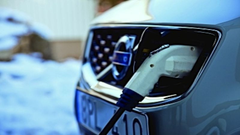 ELVIIS is alive and well