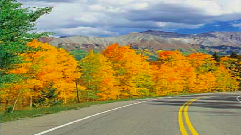 EV Week starts today