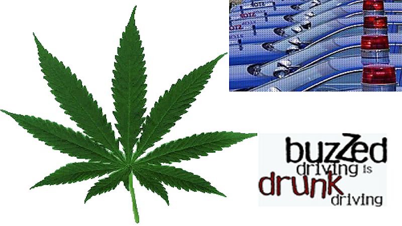 Medical marijuana cuts traffic deaths