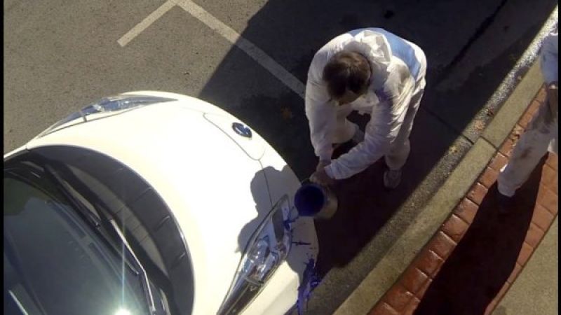 Nissan LEAF paint prank