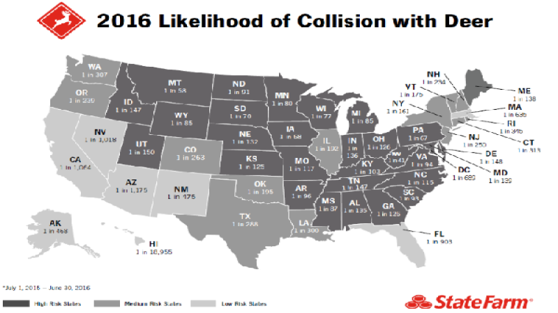 State Farm lays out the facts on deer strike frequency