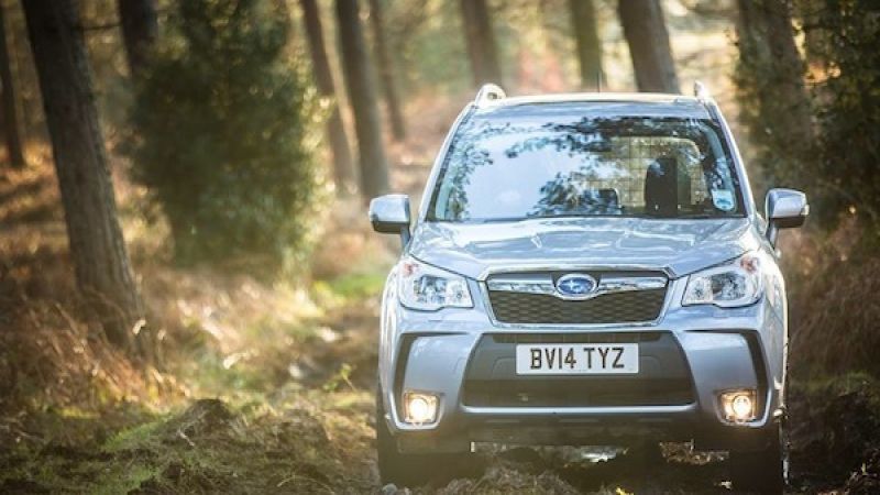 2015 Subaru Forester, 2015 Subaru Outback