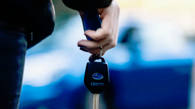 2016 Subaru WRX, 2016 Subaru Forester