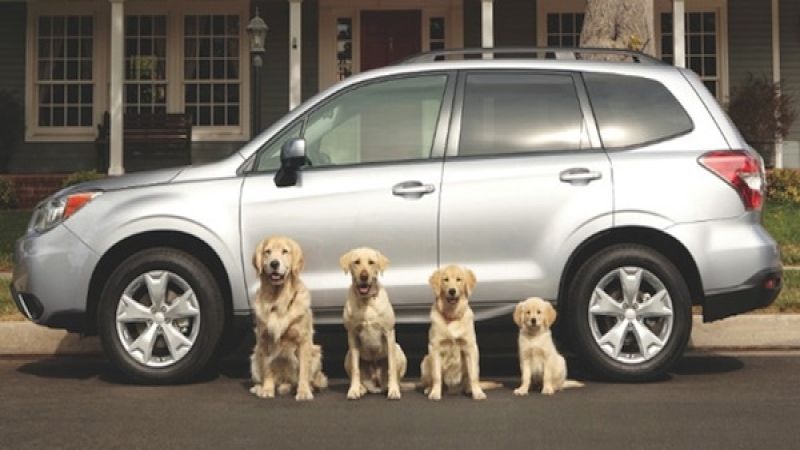Is 2014 Subaru Forester spot better than Super Bowl winning Budweiser ad?