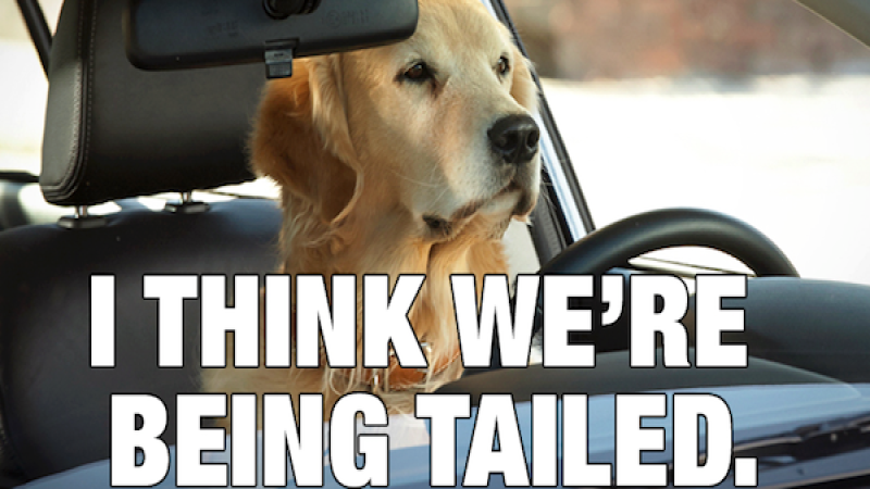 This overlooked key factor is helping drive Subaru’s sales success