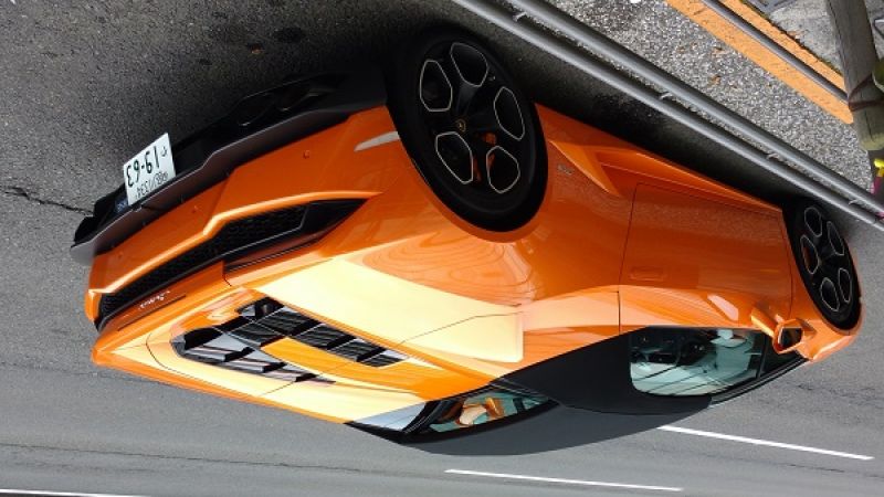 Upside_Down_Mas_Japan_McCants