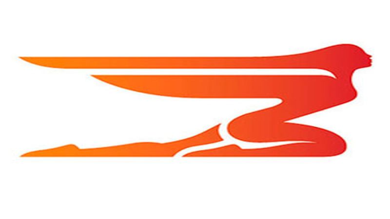 The NAIAS trademark. 