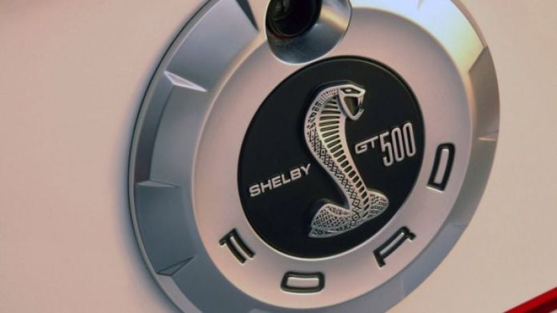 2007 GT500 badge