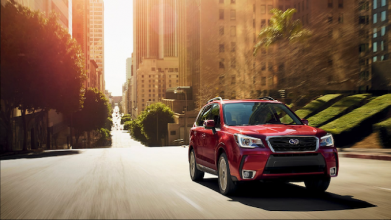 2018 Subaru Forester, Subaru lawsuit, soy-coated wires attracts rats