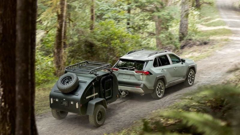 2019 RAV4 in a Forest Driving