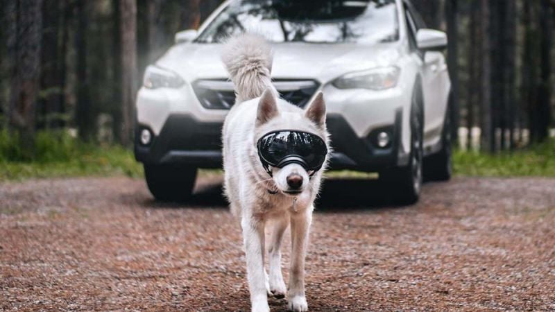 2022 Subaru Crosstrek features, upgrades, specs, pricing