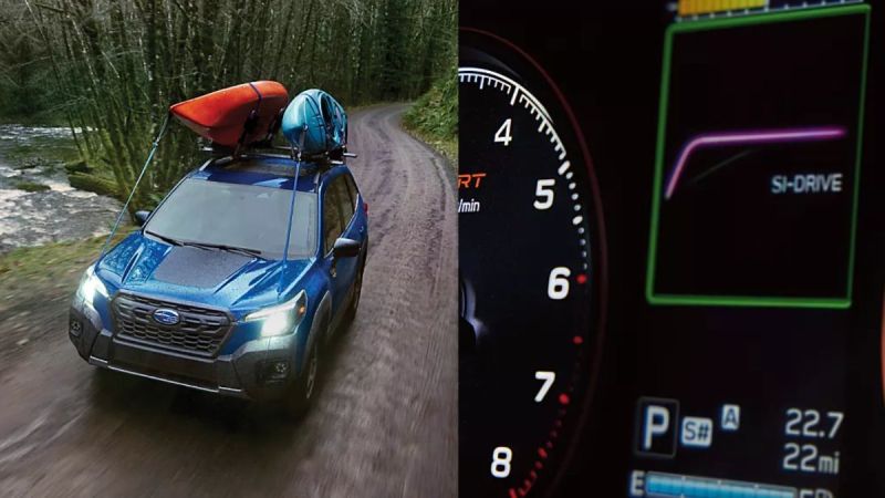 2023 Subaru Forester, 2023 Outback