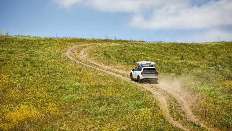 2024 Subaru Forester 