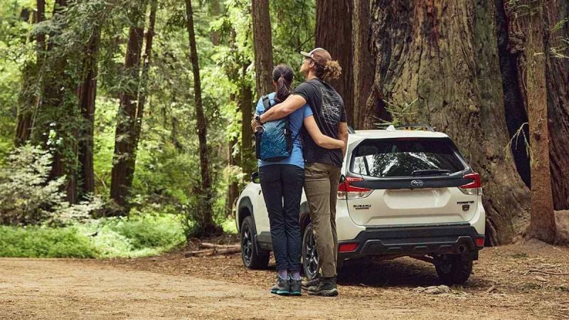 2024 Subaru Forester