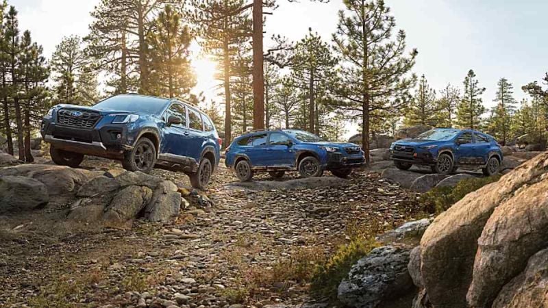 2024 Subaru Wilderness models