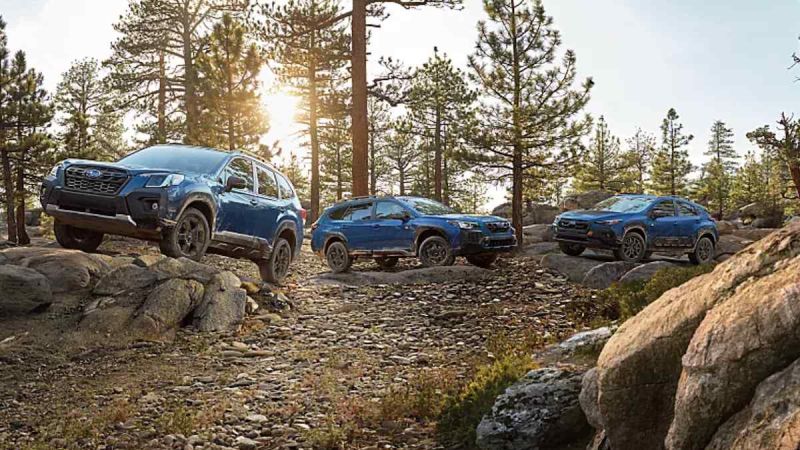 2024 Subaru Wilderness