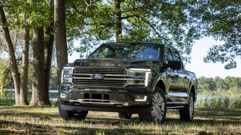 A black 2025 Ford F-150 Platinum pickup truck shown from a front three-quarter angle, parked in a scenic wooded area with tall trees and grass in the background.