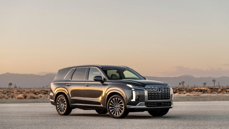 Hyundai Palisade is an overall solid offering in the SUV segment, but a minor new issue has revealed itself