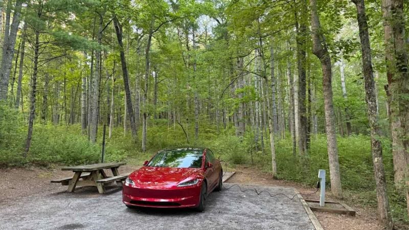 Red electric car charging at a forest campsite, surrounded by tall green trees. A wooden picnic table is on the left, evoking a serene, eco-friendly vibe.