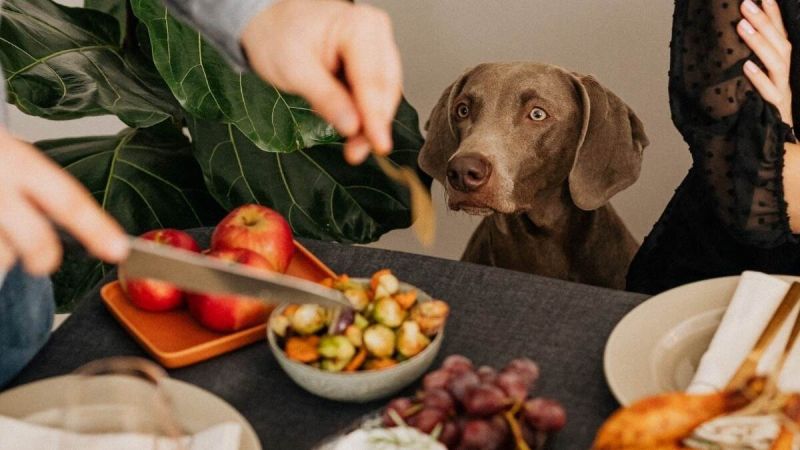 Easy Repair Car Owners Need to Know