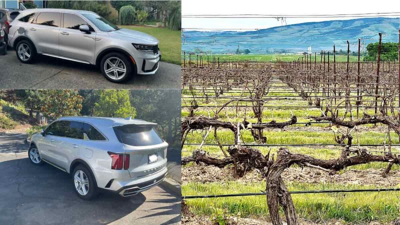 Silver Kia Sorento PHEV front and rear, and grape vines in Walla Walla, WA
