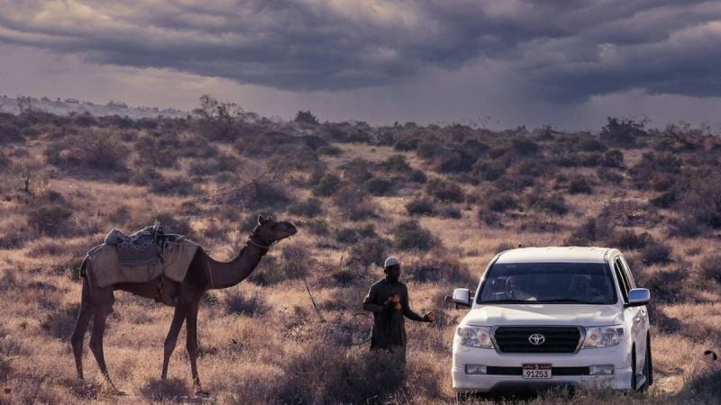 Common Used Land Cruiser Problems