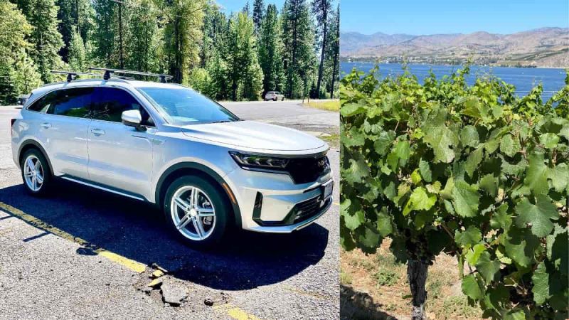 Silver Kia Sorento PHEV and grape vines near Lake Chelan