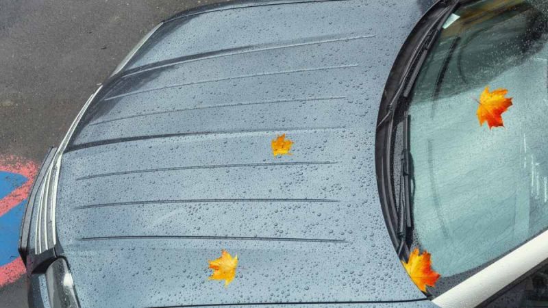 Not All Spray-On Wax Products Are Equally Good