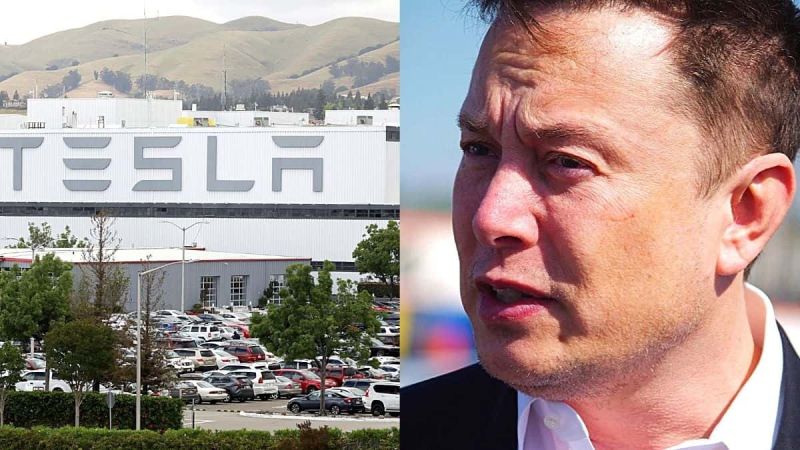Tesla CEO Elon Musk on Tesla's job cuts