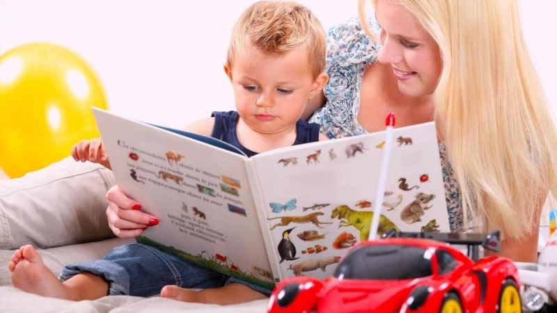 Car Myths Debunked and Explained